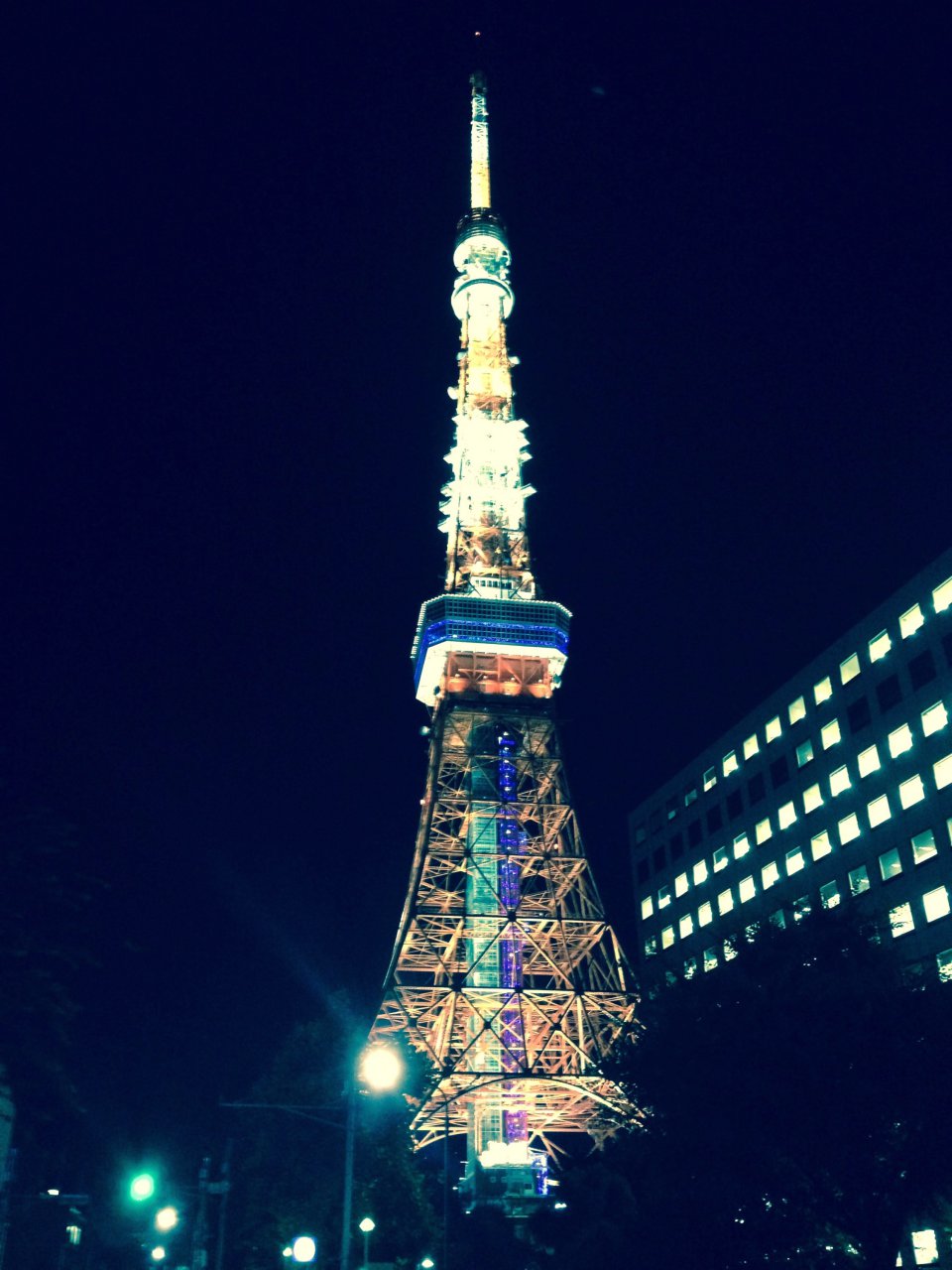 の画像